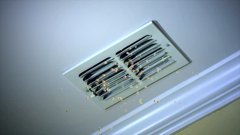 Best Air Duct Sanitizing Services  in Poplarville, MS