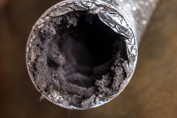 Best Air Duct Cleaning Cost  in Poplarville, MS