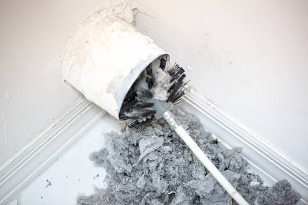 Best Ventilation Cleaning Services  in Poplarville, MS